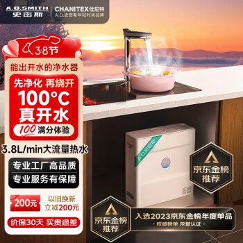 CHANITEX 佳尼特 史密斯佳尼特净水器厨下加热直饮一体机家用净水机热水3.8升/分钟 100℃真开0CAR800-FA1