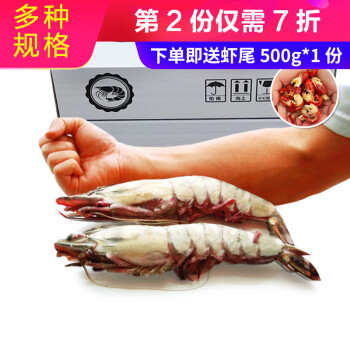 Mr.Seafood 京鲜生 活冻黑虎虾 海鲜礼盒 大虾龙虾虎虾斑节虾 800g 14-16个头 长18cm