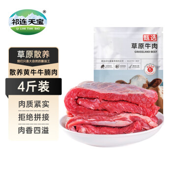 祁连天宝 新鲜生鲜牛腩肉4斤牛腩块牛肉块新鲜冷冻牛排红烧食材 源头直发