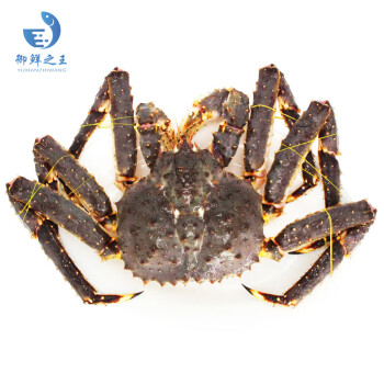 御鲜之王 鲜活帝王蟹2900-3050g/只 螃蟹生鲜 海鲜水产长脚蟹