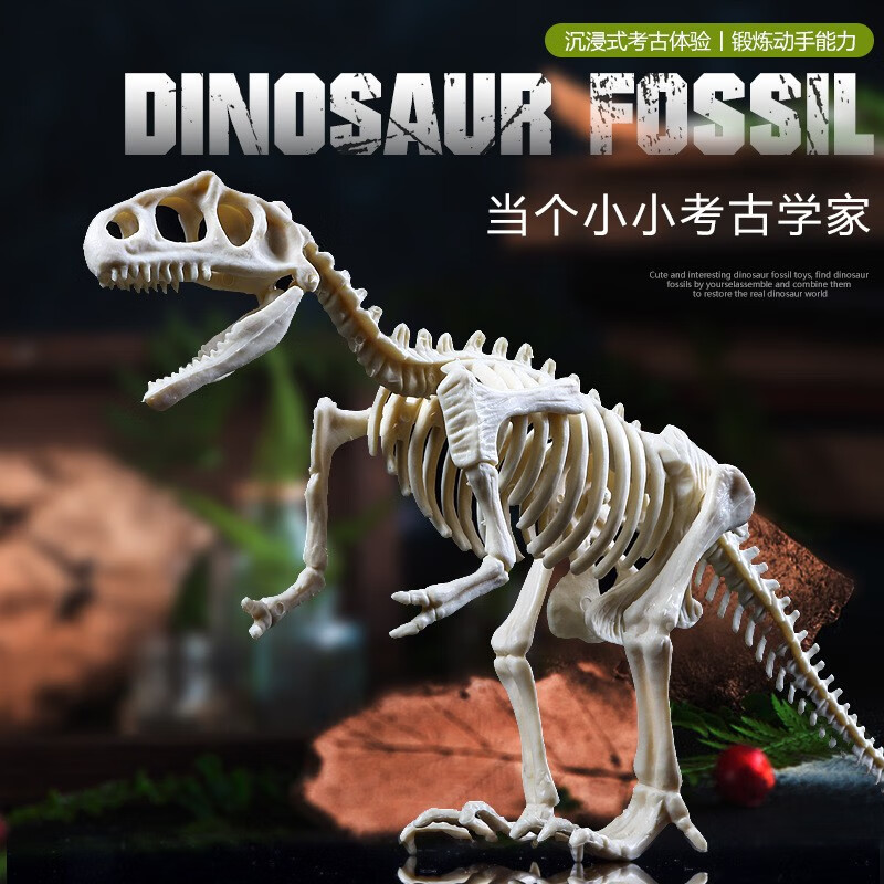 馨铂斯 考古挖掘玩具恐龙化石 霸王龙（彩盒包装带工具） 16.9元