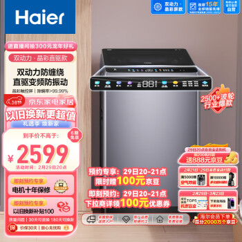 Haier 海尔 晶彩系列 ES100B26Mate6 变频波轮洗衣机 10kg 银色