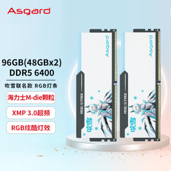Asgard 阿斯加特 96GB(48GBx2)套装 DDR5 6400 台式机内存 RGB灯条-吹雪