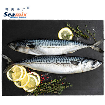 Seamix 禧美海产 冰岛青花鱼 2~3条 1kg