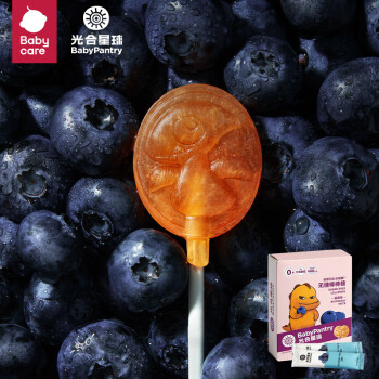 PLUS会员：BabyPantry 光合星球 儿童零食棒棒糖蓝莓味 78g