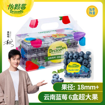 怡颗莓 Driscoll’s Jumbo超大果 云南蓝莓6盒礼盒装 125g/盒