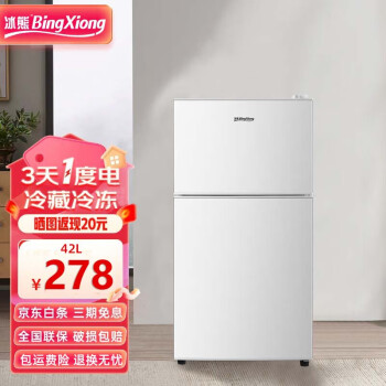 BingXiong 冰熊 电冰箱小冰箱双门家用节能冰箱  BCD-42S128银色42升