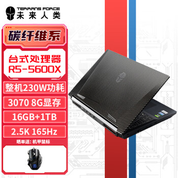 未来人类 AMD15.6游戏笔记本电脑(台CPUR5-5600X RTX3070 16G 1T SSD