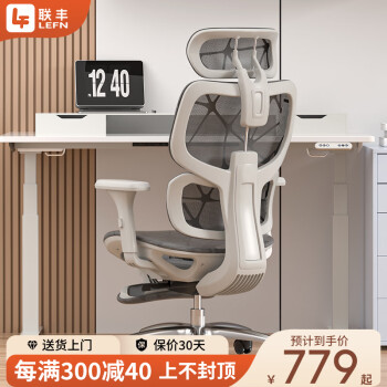 LIANFENG 联丰 DS-228CG人体工学椅电脑