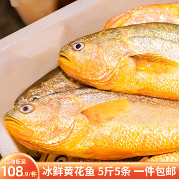 鸿顺 黄花鱼5条5斤 生鲜鱼类 海鲜年货 宁德大黄鱼 源头直发