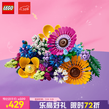 LEGO 乐高 ICONS系列 10313 繁花 野花花束