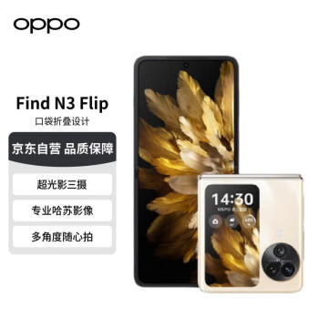OPPO Find N3 Flip 5G折叠屏手机 12GB+256GB 月光缪斯