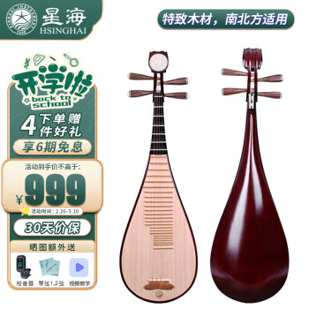 Xinghai 星海 琵琶弹拔乐器专业考级演奏琵琶民族乐器 8D11-2 硬木
