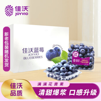 JOYVIO 佳沃 进口蓝莓 12盒原箱装 125g/盒 生鲜水果