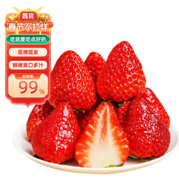 茜货 丹东99红颜奶油草莓1.5斤装 单果15-25g