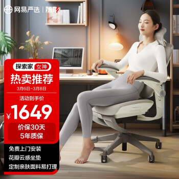 YANXUAN 网易严选 探索家LADY女神椅 人体工学电脑椅办公椅电竞老板会议学习椅凳子