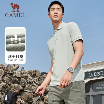 CAMEL 骆驼 运动短袖男宽松休闲T恤简约POLO衫 C13BA9L6003 淡豆绿 XL