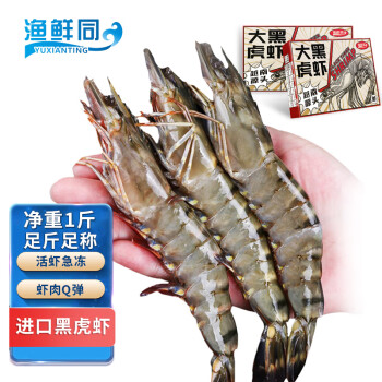 TOUSH’S 拓食 渔鲜同YUXIANTING越南生冻黑虎虾（特大号）500g/盒 15只 火锅食材 海鲜水产
