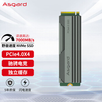 Asgard 阿斯加特 2TB SSD固态硬盘 M.2接口(NVMe协议) PCIe 4.0 独立缓存 读速高达7000MB/s