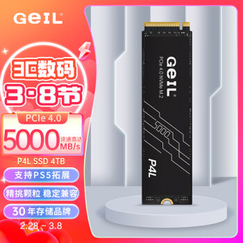 GeIL 金邦 P4L NVMe M.2 固态硬盘 4TB（PCI-E4.0）