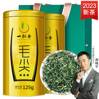 一杯香 茶叶绿茶明前毛尖茶2023新茶自己喝年货过年礼盒送礼品袋250g