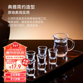 TiaNXI 天喜 白酒杯 玻璃小烈酒一口杯茅台吞杯酒盅小酒杯分酒器套装