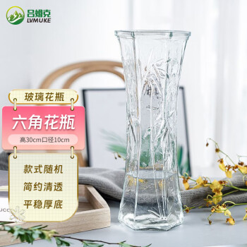 呂姆克 花瓶富貴竹插花瓶玻璃客廳宿舍花瓶擺件大號(hào)透明隨機(jī)高30cm5432