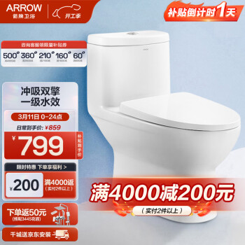 ARROW 箭牌卫浴 AE1126M 连体式马桶 305mm坑距