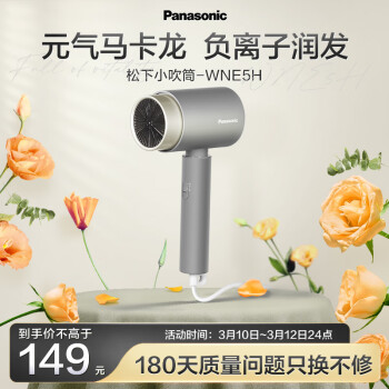 Panasonic 松下 EH-WNE5H 电吹风 灰色