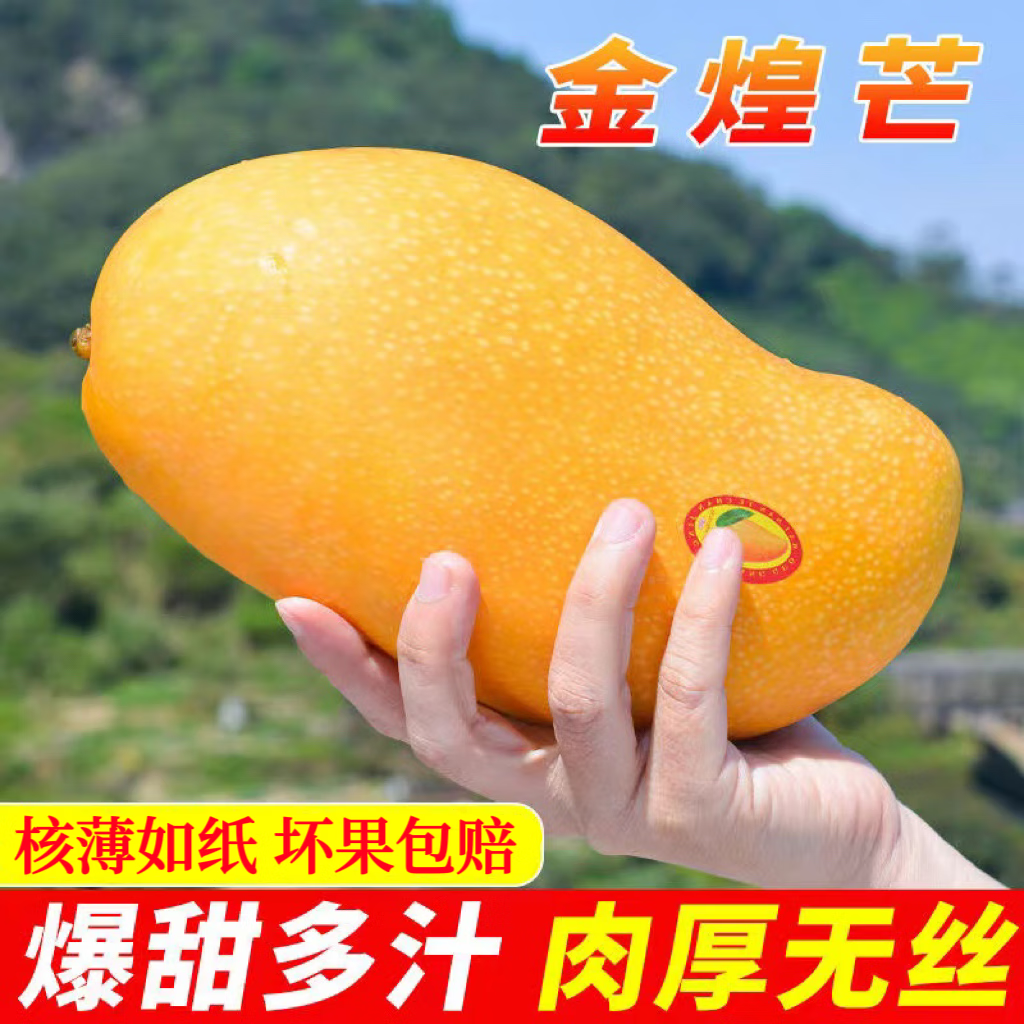 海南金煌芒果 6斤装 （3-5个） 券后24.9元