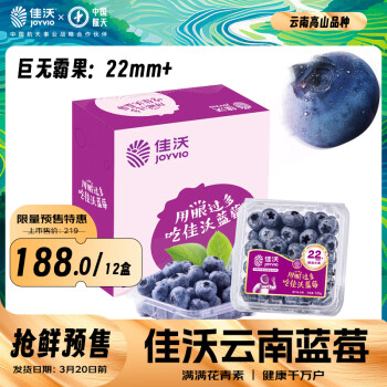 JOYVIO 佳沃 云南精选蓝莓巨无霸22mm+ 12盒原箱装 约125g/盒 新鲜水