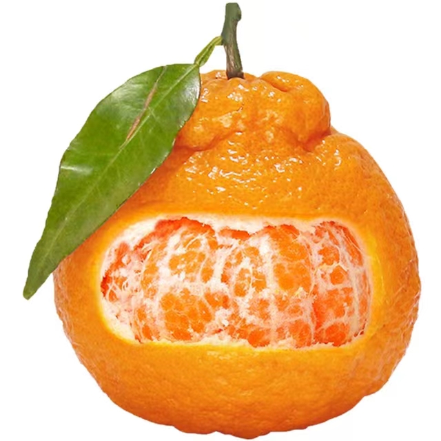 少羽 四川不知火丑橘 拍2件直发10斤装特大果80MM+ 14.8元（需买2件，需用券）