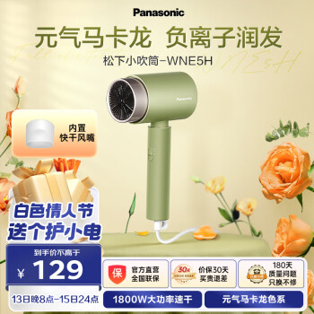 Panasonic 松下 EH-WNE5H 电吹风 绿色