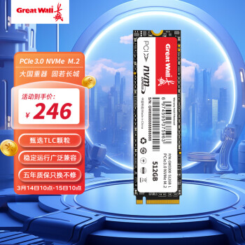 Great Wall 长城 512GB SSD固态硬盘 M.2接口(NVMe协议)PCIe 3.0x4 GW3300系列