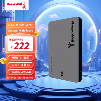 Great Wall 长城 512GB SSD固态硬盘 SATA3.0接口 读速540MB/S台式机/笔记本通用 GW560系列