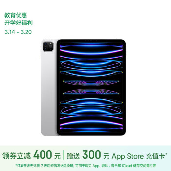 Apple 蘋果 iPad Pro 2022款 11英寸平板電腦 256GB WLAN版