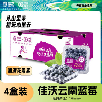 JOYVIO 佳沃 蓝莓 单果果径14mm+ 125g 礼盒装