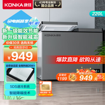 KONKA 康佳 220升 大容量家用商用冰柜 双箱双温冷柜 顶开门 一级能效 冷藏冷冻卧 BCD-220DZP