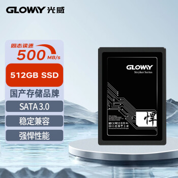 GLOWAY 光威 悍将系列 SATA 固态硬盘 512GB（SATA3.0）