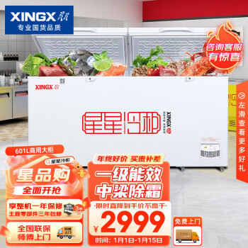 XINGX 星星 601升 大型冰柜 商用节能冰柜 冷藏冷冻转换柜 大容量冷柜 顶开门 商用大柜 BD/BC-628GE
