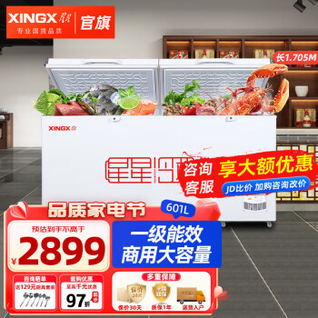 XINGX 星星 冰柜商用大容量单温转换家用卧式保鲜冷柜 601升可冻520斤排骨