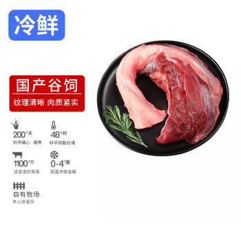 HONDO 恒都 国产冰鲜黄牛牛腱肉500g 冷藏 谷饲牛肉 炖煮食材