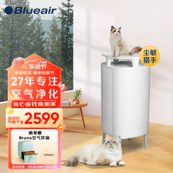 Blueair 布魯雅爾 5410i 家用空氣凈化器