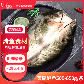 DIAOYUJI 钓鱼记 叉尾鮰鱼 500g-650g