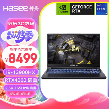 Hasee 神舟 战神GX8R9 （酷睿i9-13900HX、RTX 4060 8G、32GB、1TB SSD、2.5K、IPS、165Hz）