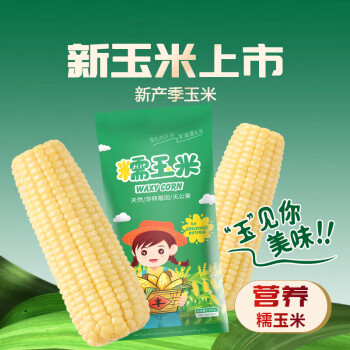 京百味 吉林糯玉米棒250g 东北甜糯新玉米 黏玉米 多种包装随机发货