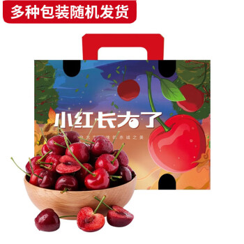京鲜生 大连美早樱桃 车厘子J级 2kg礼盒装 单果8g+ 新鲜水果礼盒