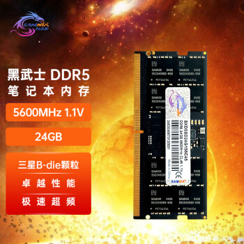 SK hynix 海力士 新乐士（SAMNIX）24GB DDR5 笔记本内存条 5600MHz C45/46 优选颗粒 Black Knight黑武士电竞游戏