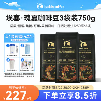 瑞幸咖啡 SOE埃塞·瑰夏咖啡豆共750g中烘日晒门店同源豆单产区精品咖啡豆粉