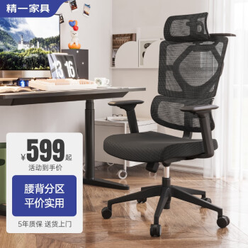 SITZONE 精壹 DS-367A1 人体工学电脑椅 黑色 3D扶手款